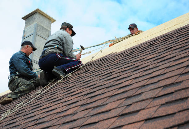 Best Commercial Roofing Services  in Virginia Gardens, FL